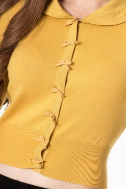 Cardigan pin-up banned